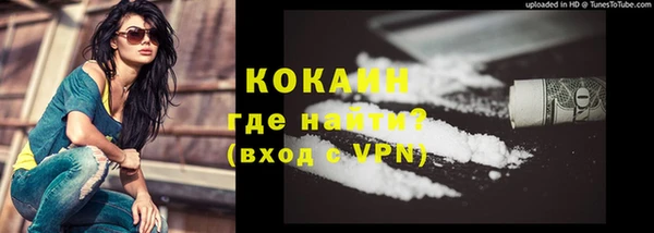 мет Бородино