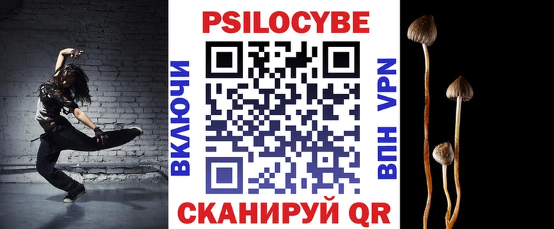 kraken как войти  Кедровый  Галлюциногенные грибы GOLDEN TEACHER 